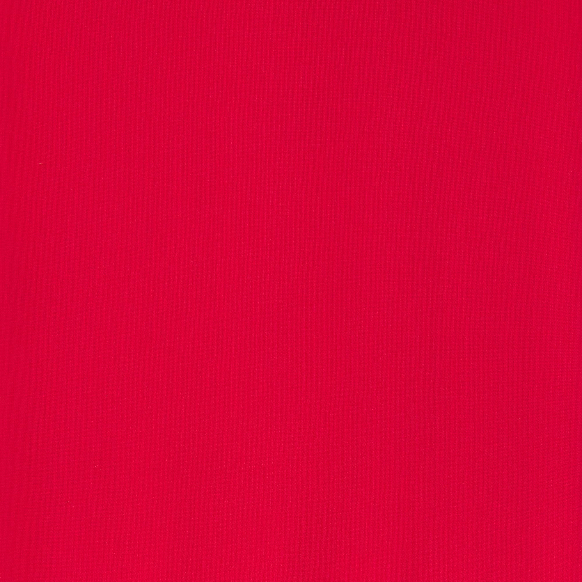 HOSIERY THIGH HIGH STOCKINGS | RUBY