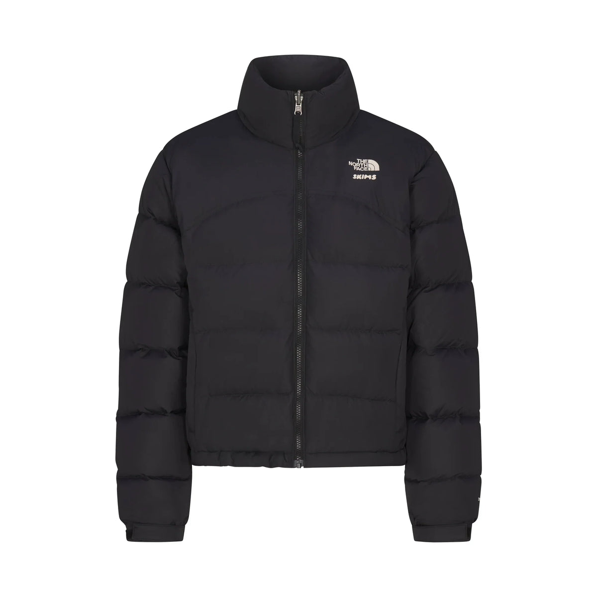 THE NORTH FACE X SKIMS 2000 RETRO NUPTSE JACKET | ONYX